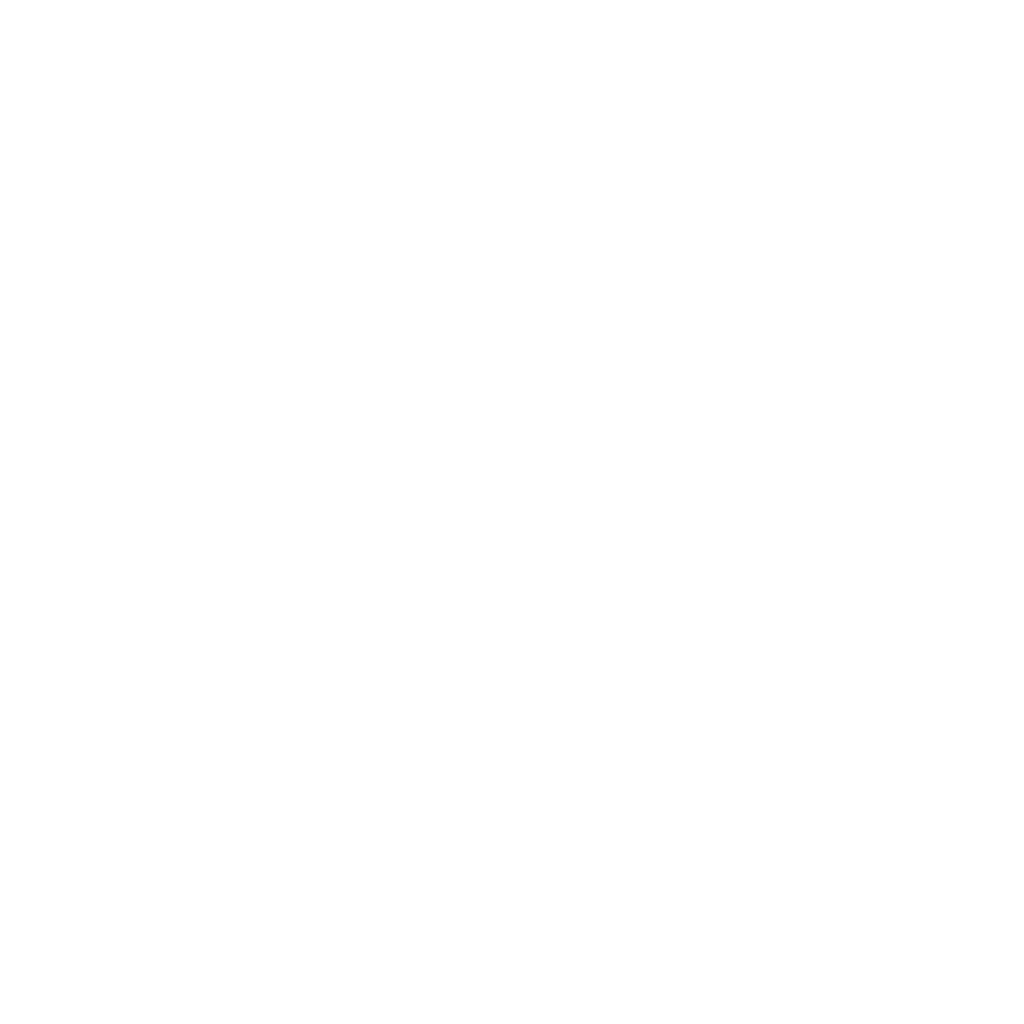 mgm Technology Partners