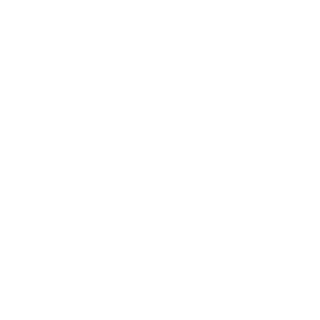 zu Allgeier CyRis