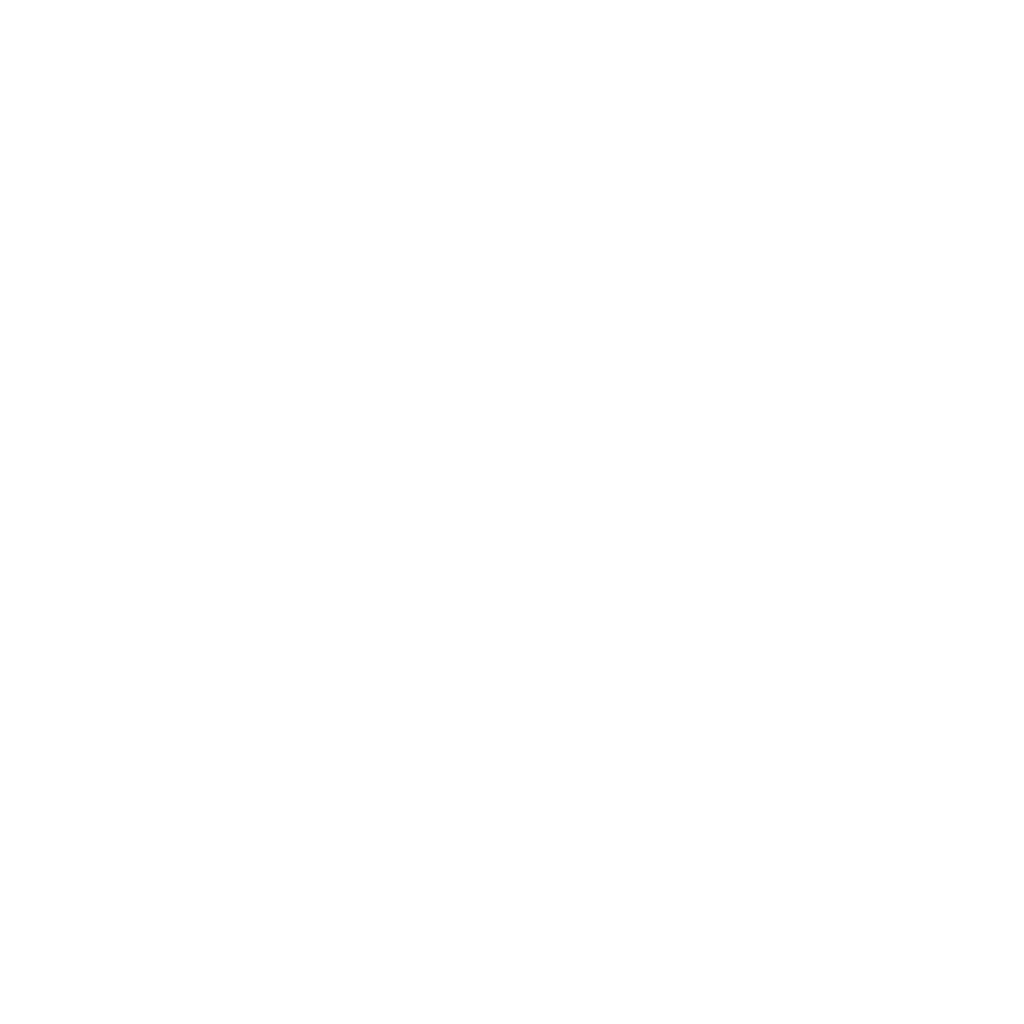 Allgeier Public